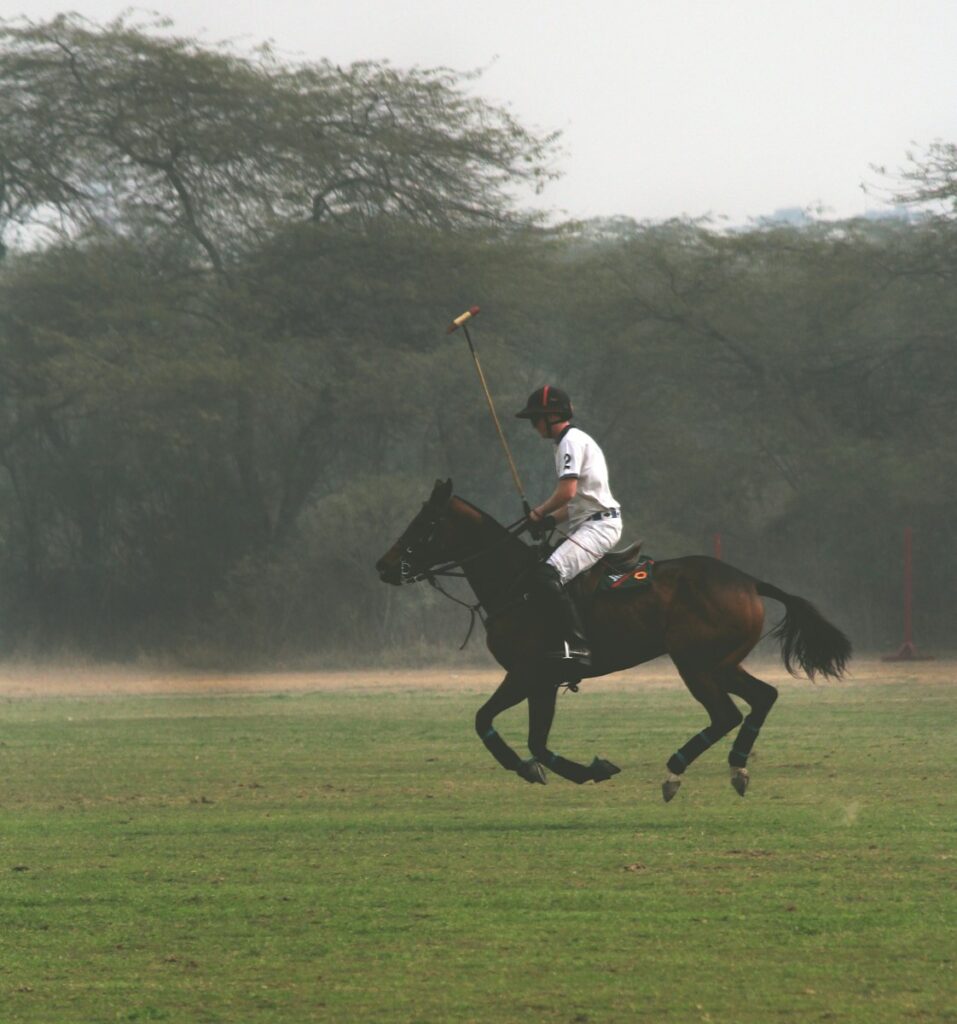 Man horse backriding on green field