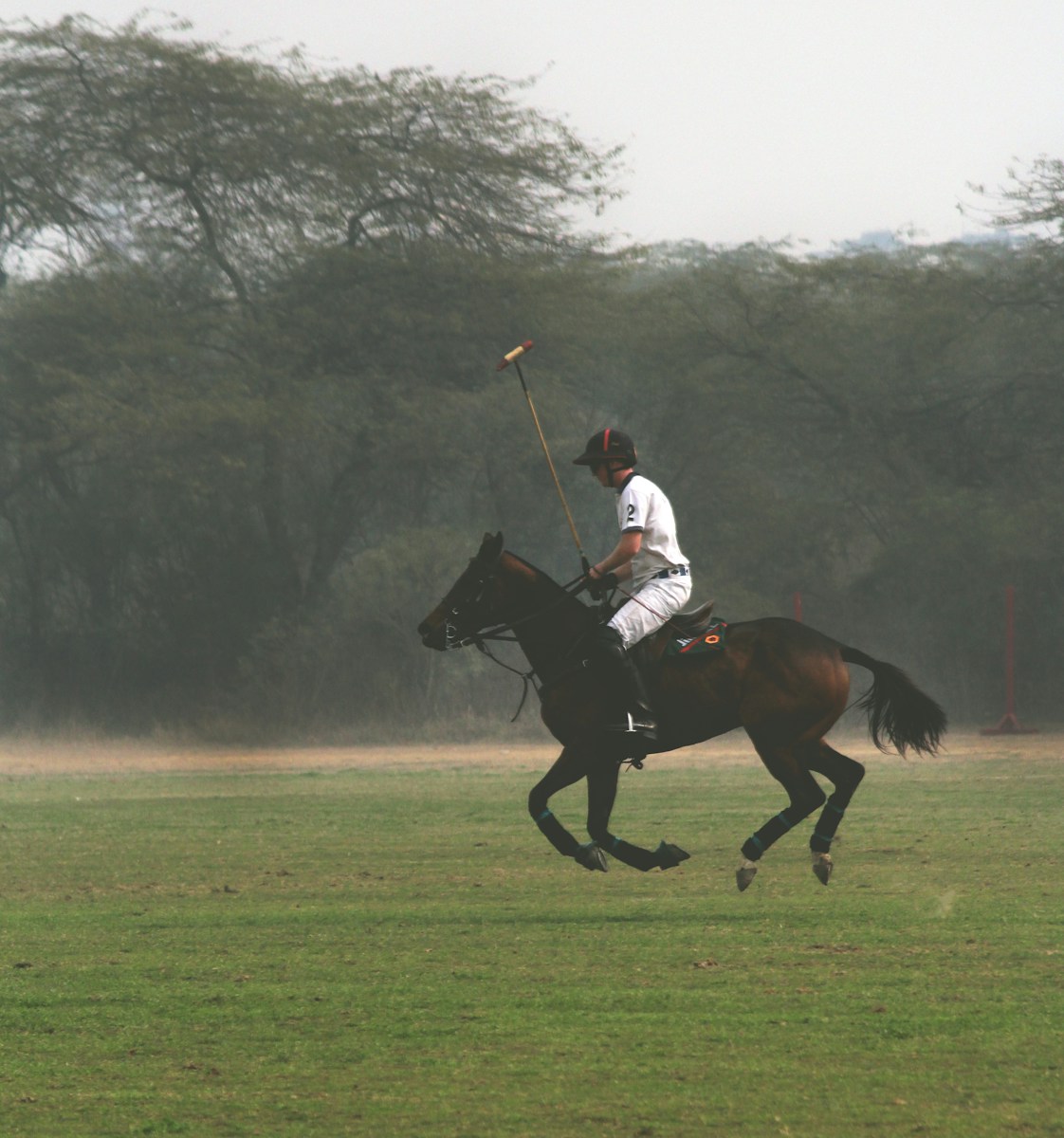 Man horse backriding on green field