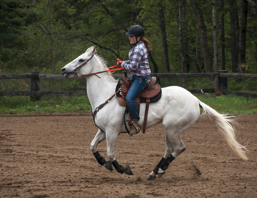 Horse participating in barrel racer
