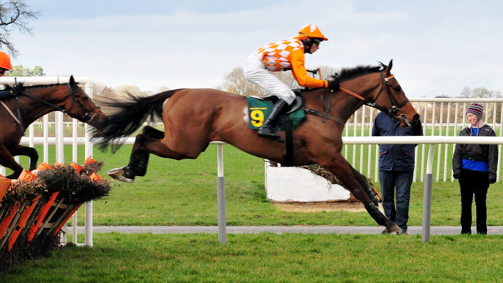 The horse jump over obstacles