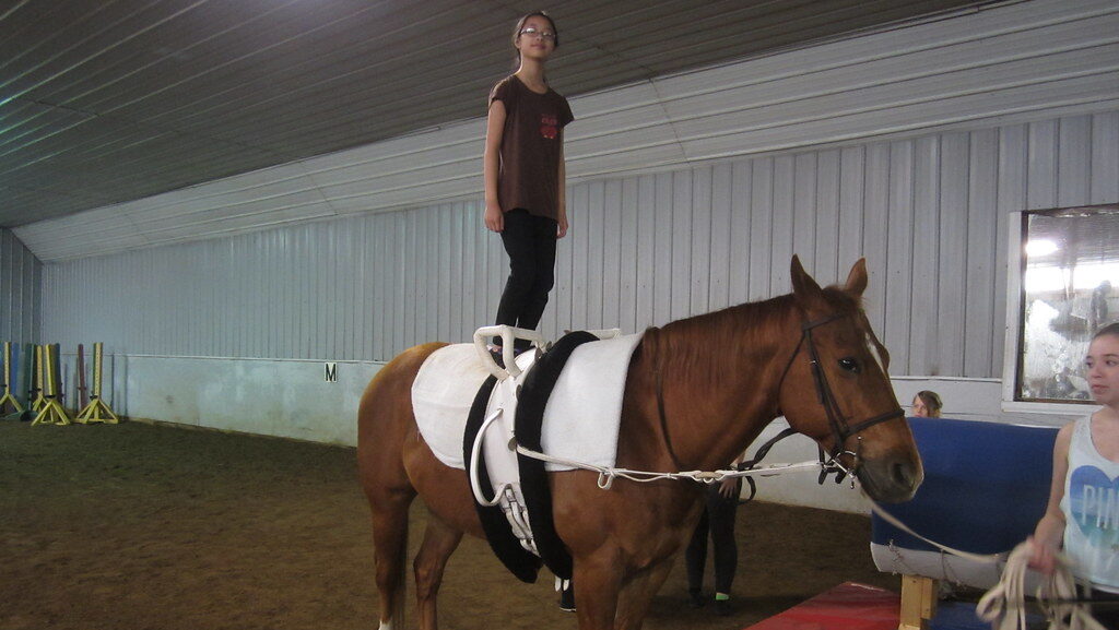 A woman standing on the back of horse