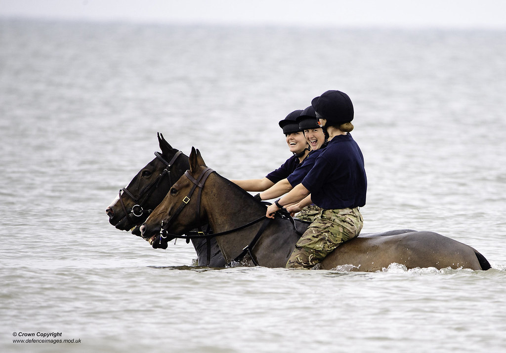 Equestrian exercise with horse at the sea
