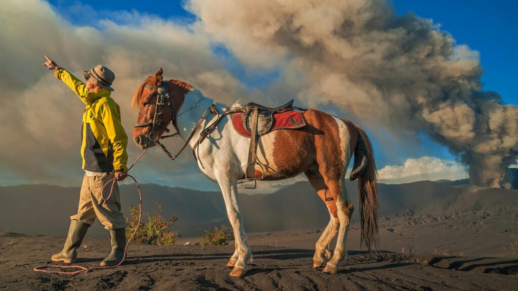Man with horse pointing towards
