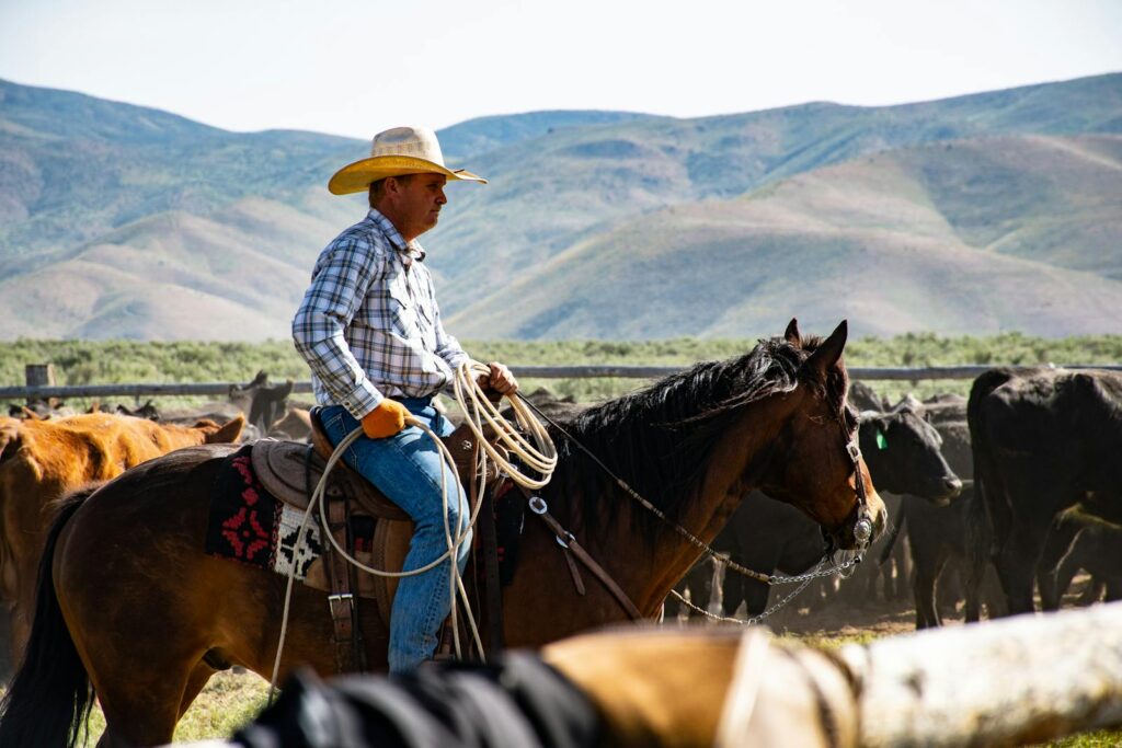 Cowboy wearing a hat rides a horse in a rural ranch setting