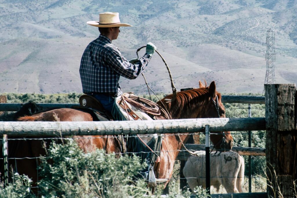 Cowboy rides a horse with a lasso on a farm