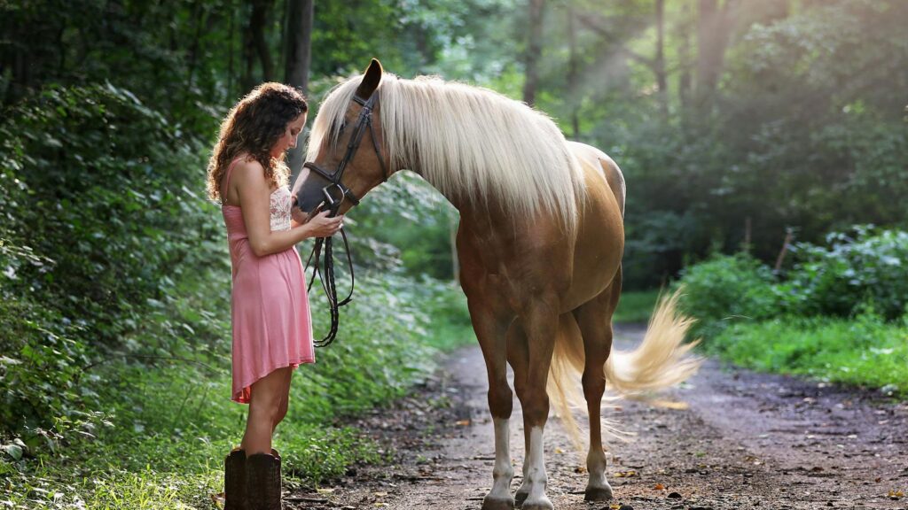 A young woman in a pink dress with a horse on a sunlit forest pathway.