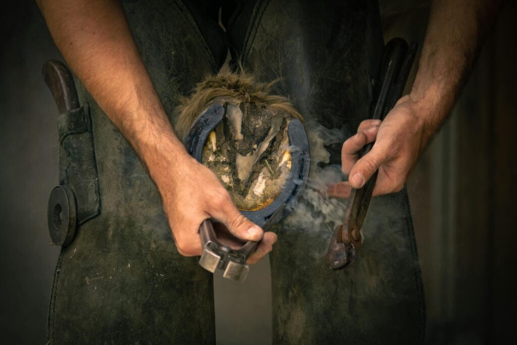 A farrier shaping a horseshoe on a horse's hoof with tools, showcasing skilled craftsmanship.