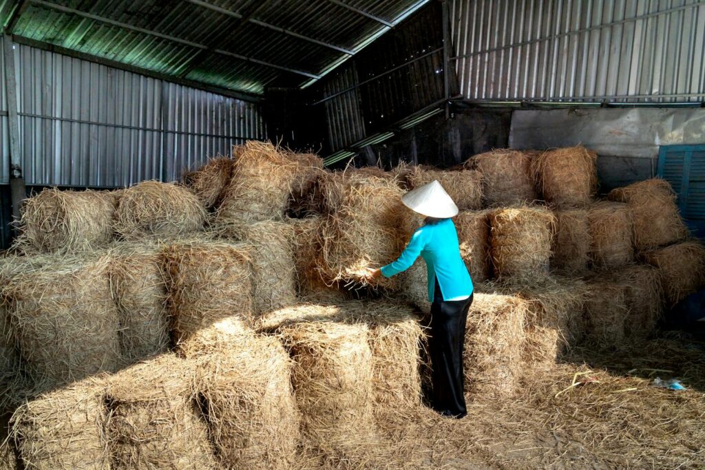 A rural worker organizing hay bales in a barn, highlighting traditional agricultural practices.