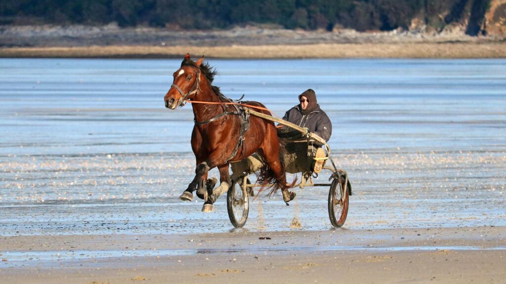 A man rides a horse-drawn carriage on the sandy beach of Granville, Normandie, France.