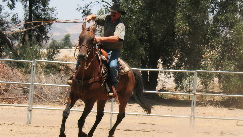 A ranch hand is riding a horse