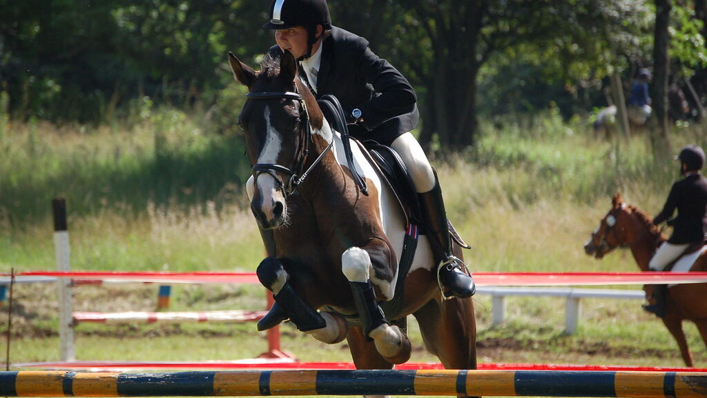The horse is jumping over a wooden platform.