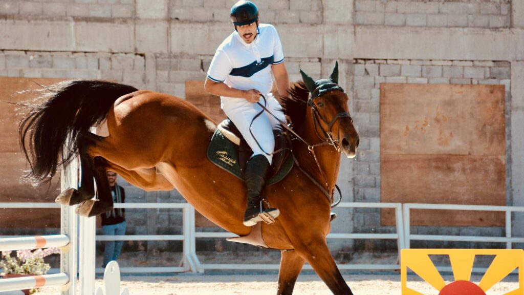A thrilling equestrian show jumping competition