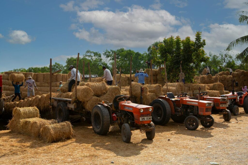 Farmers stacking hay bales on trucks in a rural field, using tractors under a sunny sky.