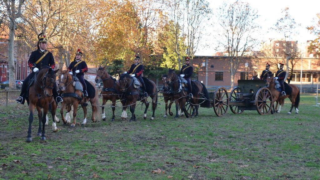 Many armed horses standing in the field