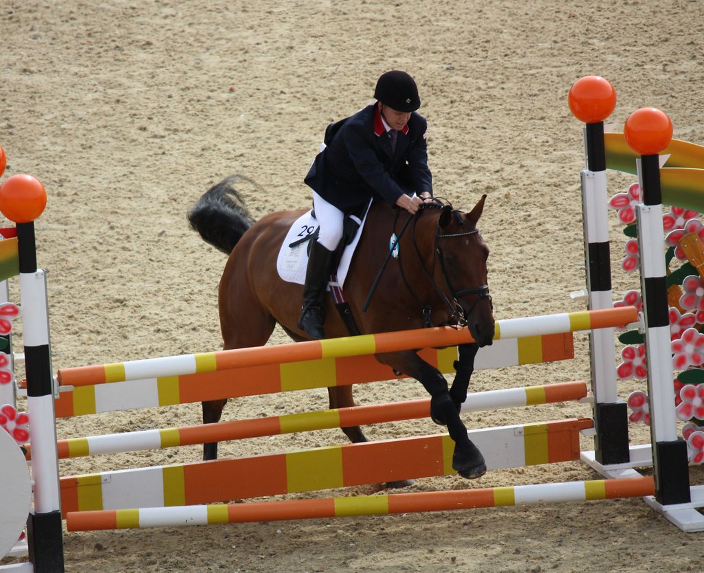Equestrian error in the competition