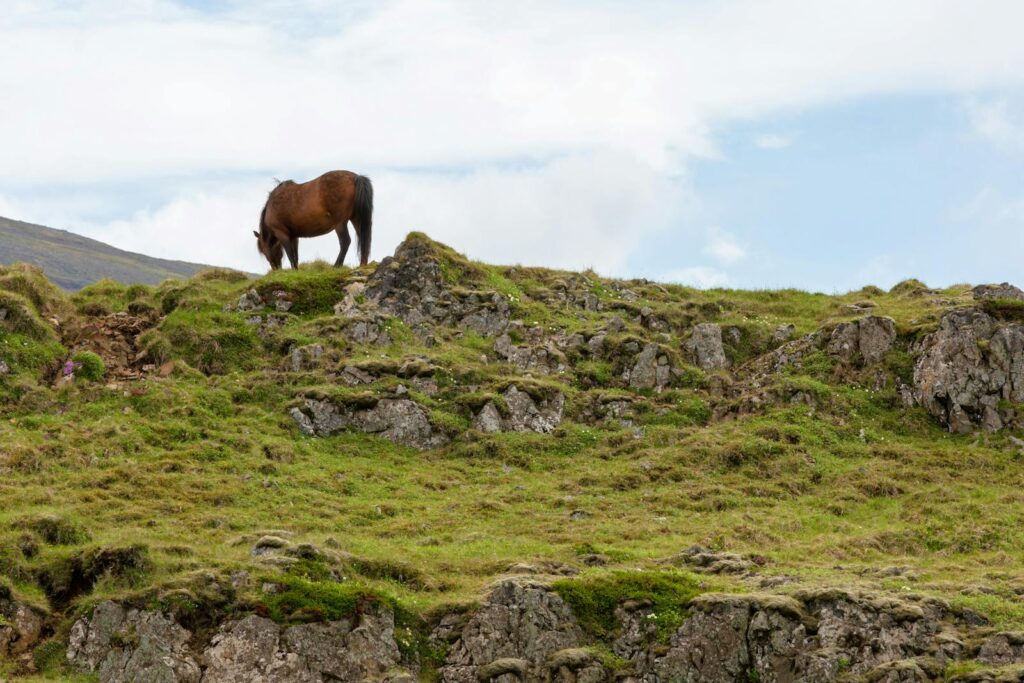 A serene landscape featuring a horse grazing on a rocky hill under a clear sky.