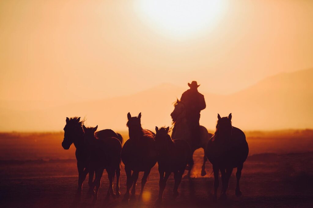 Cowboy riding a horse leads a herd in the desert