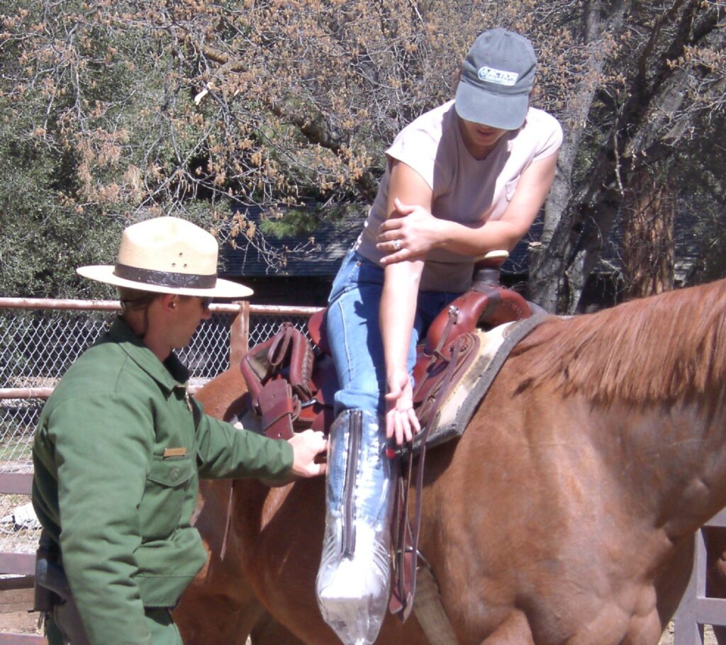 Mounted sar evacuation in the saddle