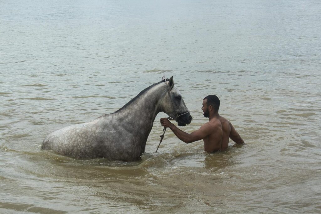 Man leading and training horse in the river