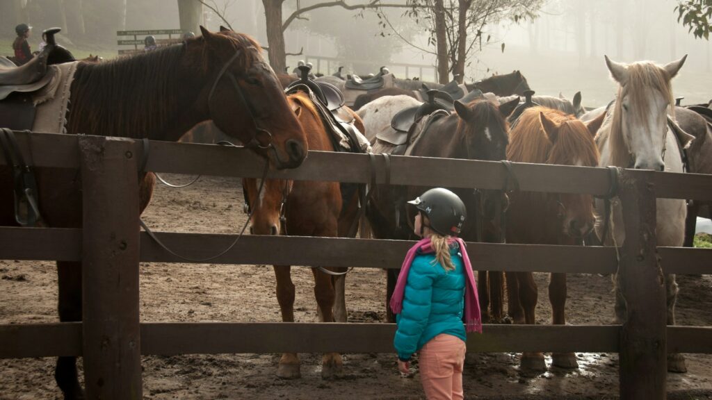girl standing in front of group of horses