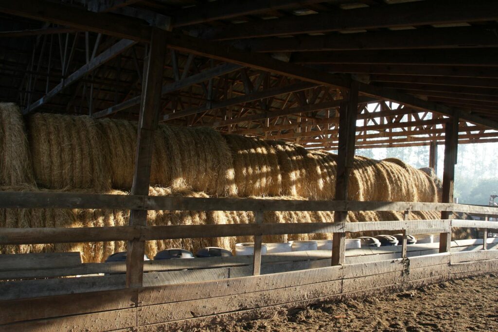 A rustic barn in North Carolina filled with neatly stacked hay bales capturing sunlight.