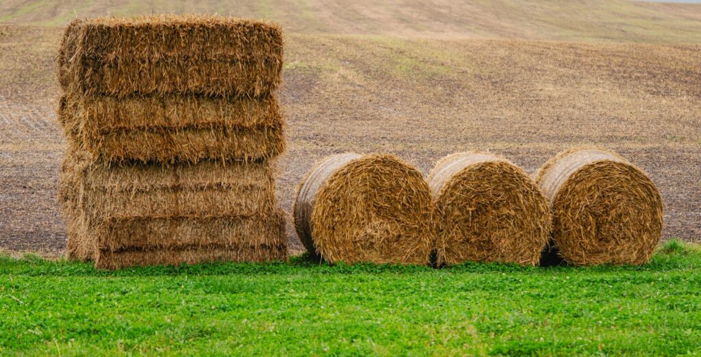 Hay stacks and round bales in a countryside field with green grass.