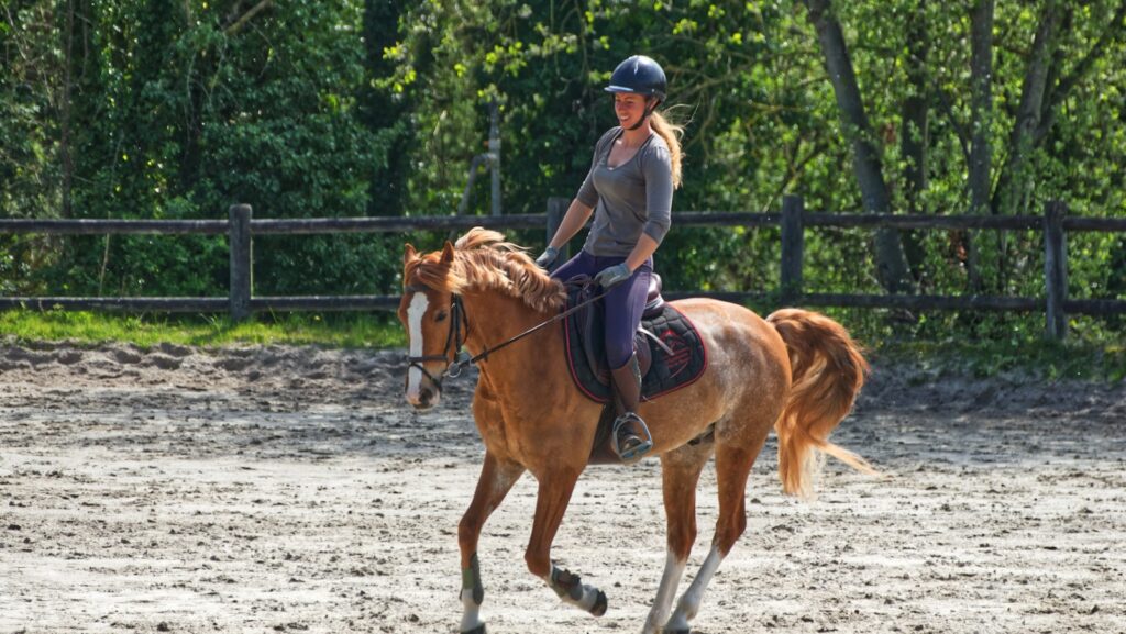 Person riding horse outdoors