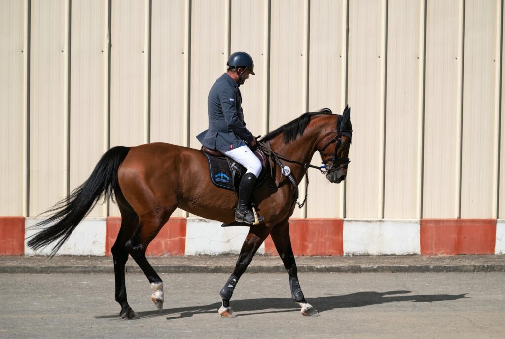 A mature equestrian riding a brown horse in Tbilisi, Georgia during daytime.
