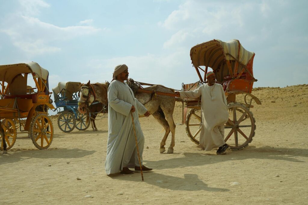 Free stock photo of ancient egypt, carriage, corn