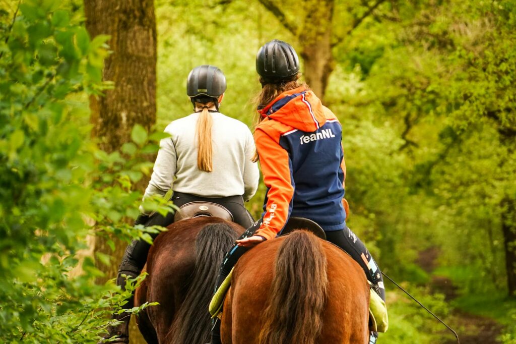 Two equestrians riding horses