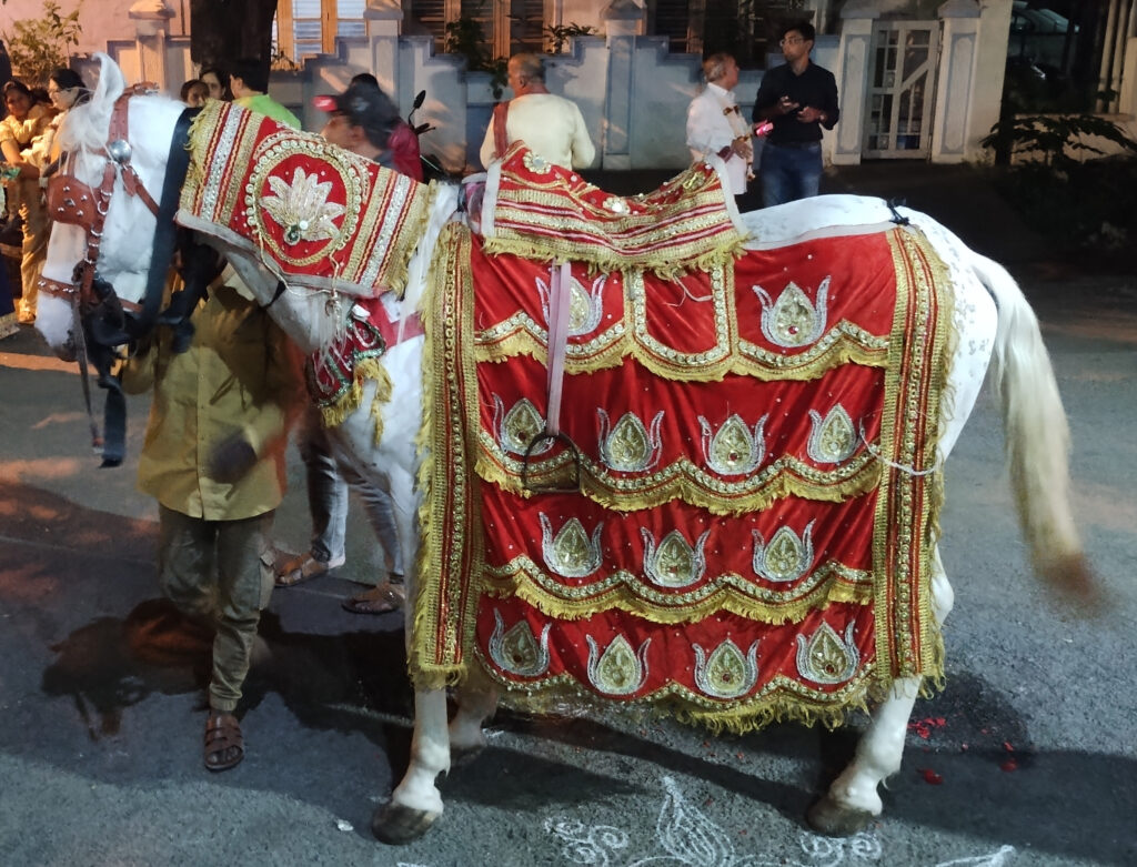 Horse in a Hindu wedding