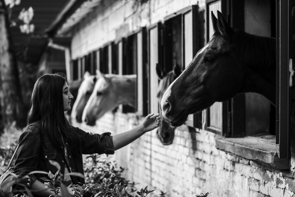 Woman touching a horse