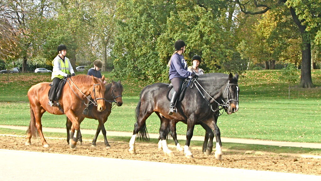Three riders on the horseback