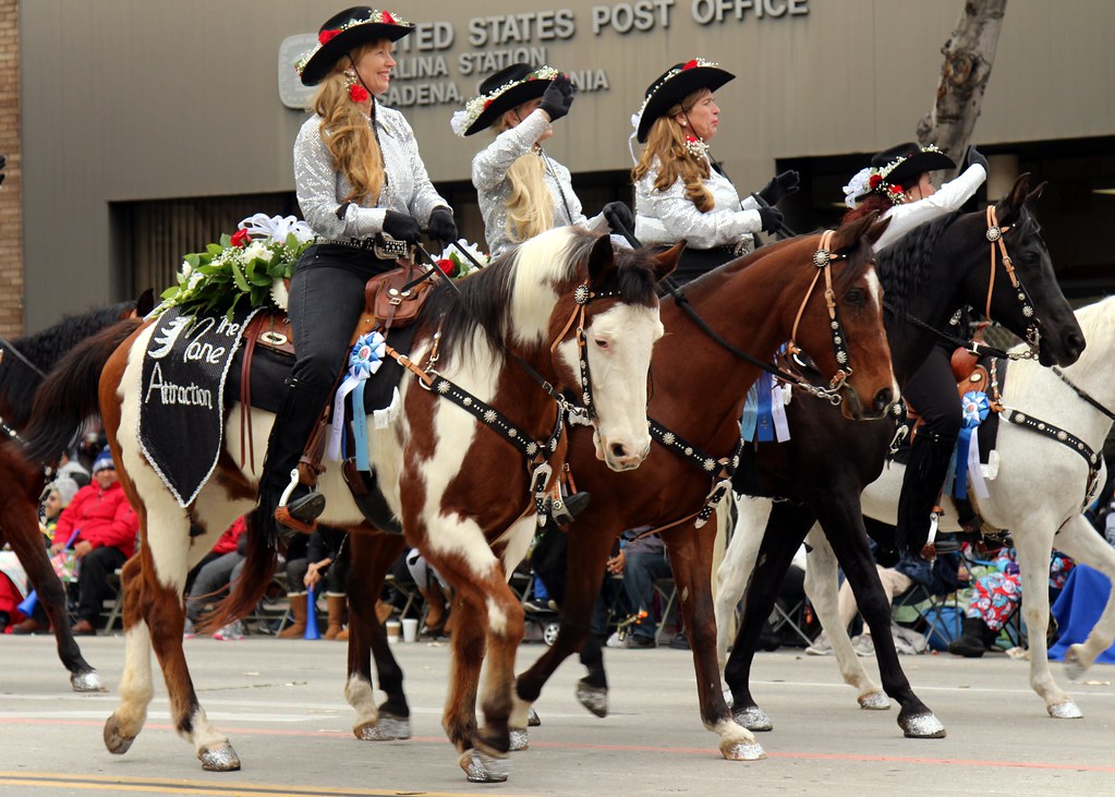 Equestrian Drill Team