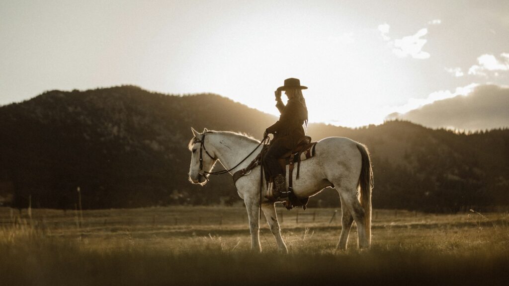 man riding on white horse during daytime