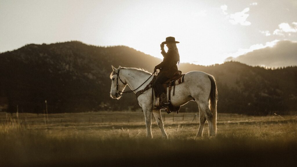 man riding on white horse during daytime