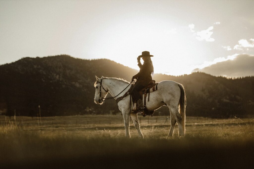 Man riding on white horse during daytime