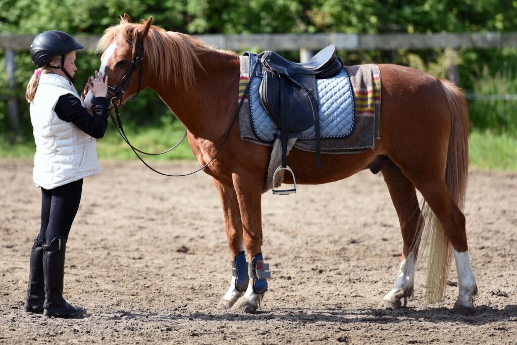 Girl interacts with her horse