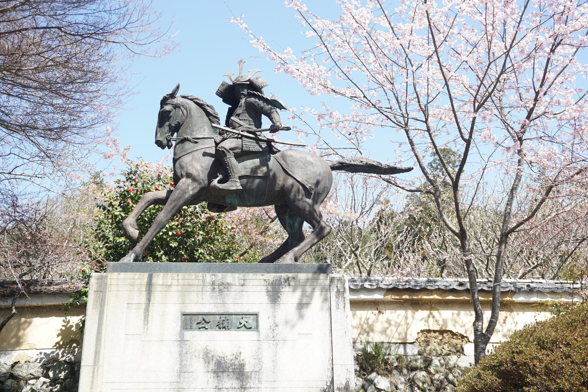 Japanese Bull Rider The Most Legendary Horses in Japanese Samurai History – saddlesociety.com