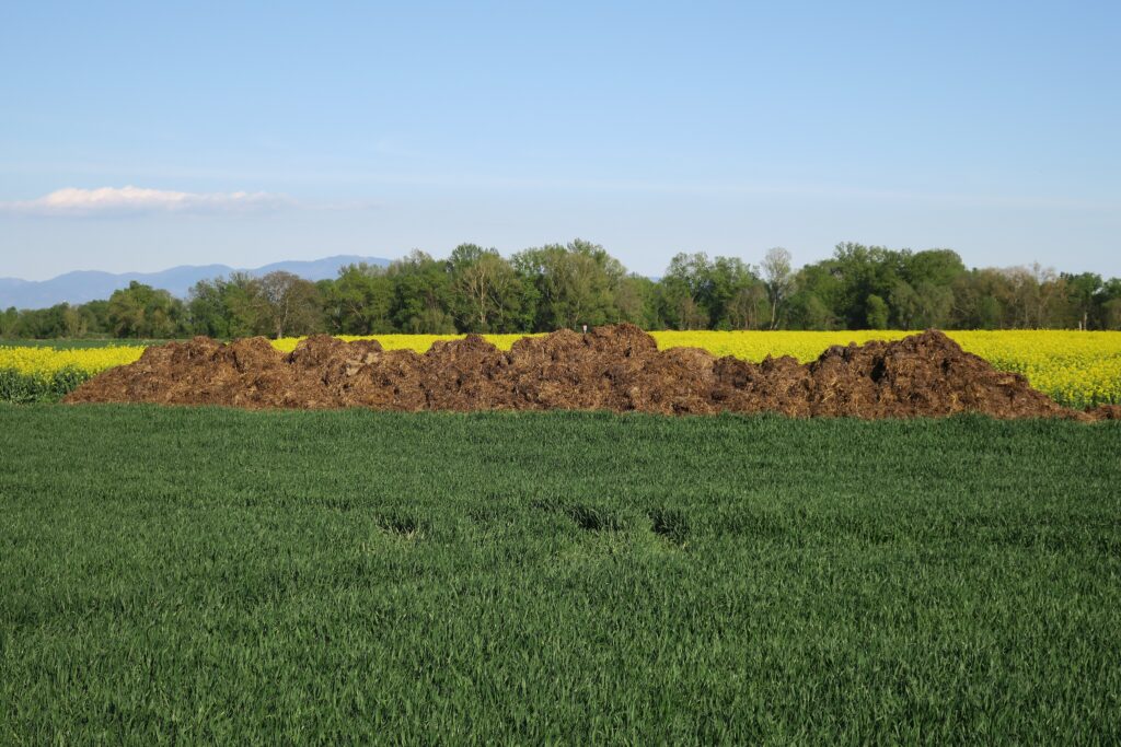 A pile of manure in a field in Wittenheim