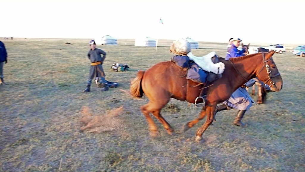 Bolting horse without rider