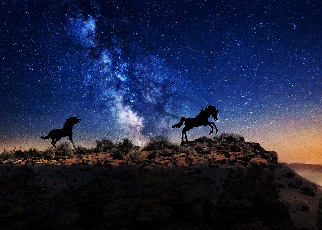 Wild horses attraction site