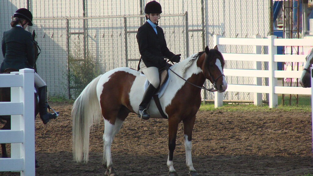 A woman sitting on horse
