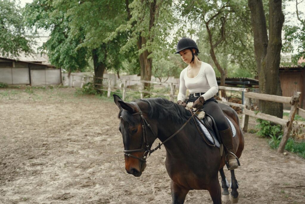 Woman in riding attire on a horse