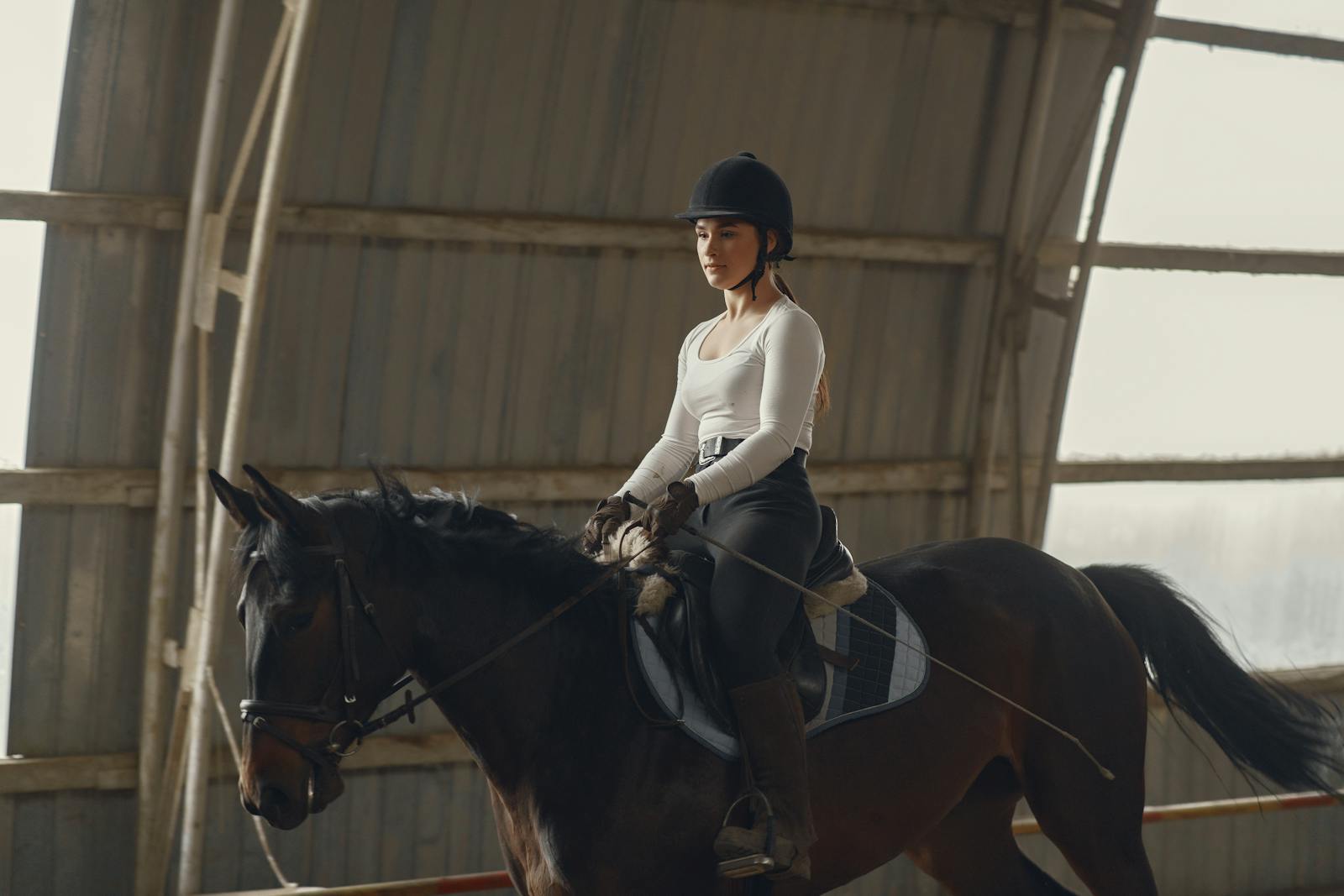 Equestrian riding a horse in an indoor arena