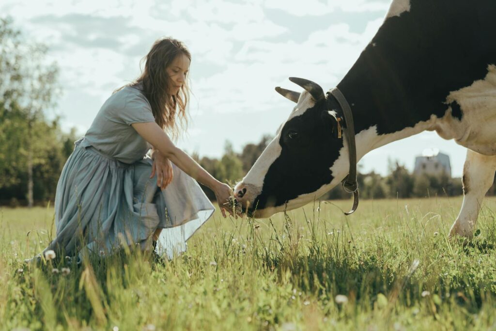 A woman in a blue dress feeding a cow in a sunny rural meadow, capturing a serene farm scene.