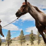 A man calm down the horse in field