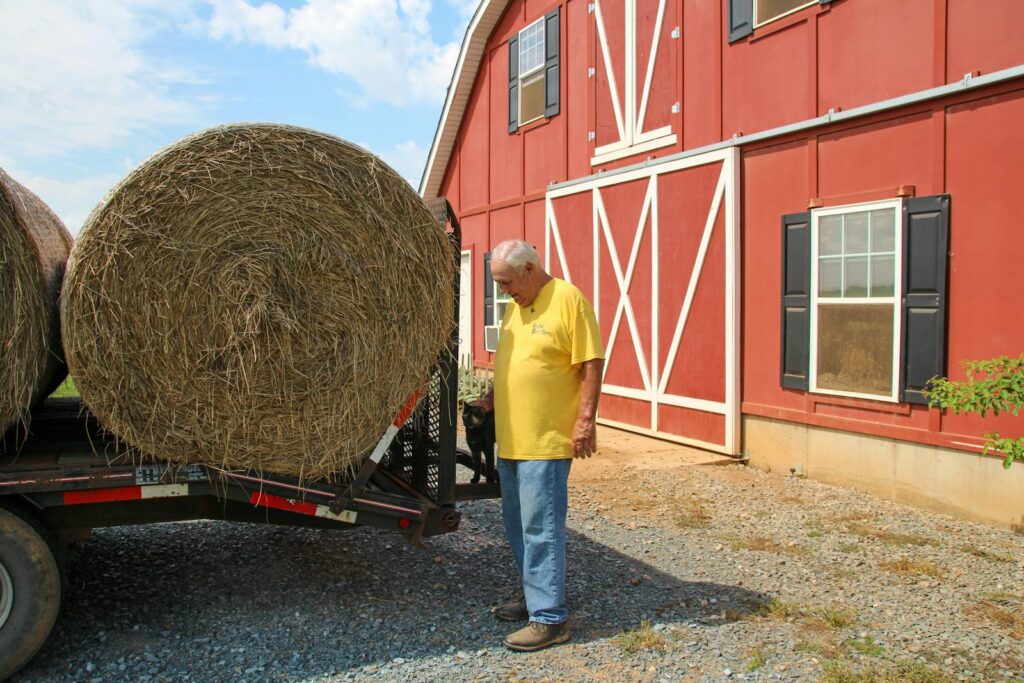 Senior farmer in yellow shirt by red barn with hay bale on trailer.