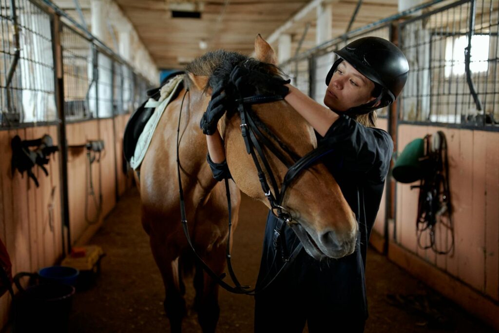Young horsewoman in helmet and gloves tying bridle of horse in stable