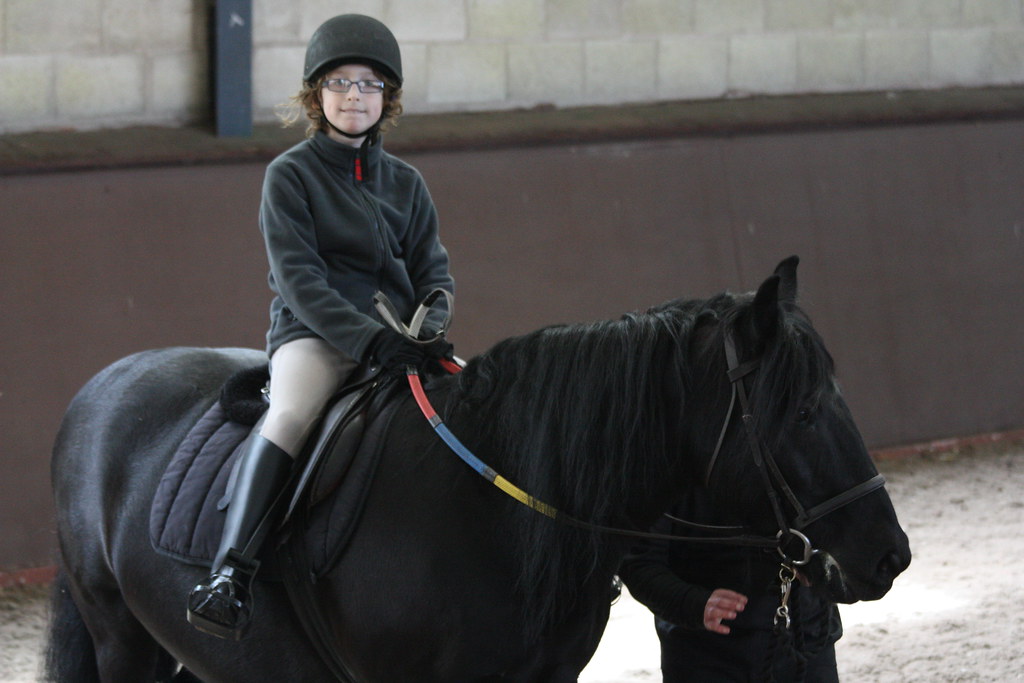 Horse riding lessons
